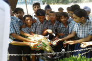 Guru Nanak Khalsa Senior Secondary School-Cleaning activity